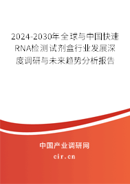 2024-2030年全球與中國快速RNA檢測試劑盒行業(yè)發(fā)展深度調(diào)研與未來趨勢分析報告