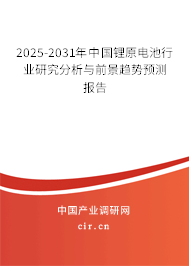 2025-2031年中國鋰原電池行業(yè)研究分析與前景趨勢預(yù)測報告