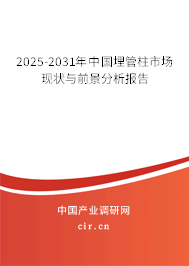 2025-2031年中國埋管柱市場現狀與前景分析報告