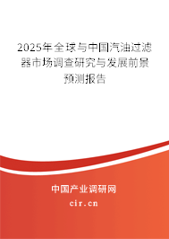 2025年全球與中國汽油過濾器市場調查研究與發展前景預測報告