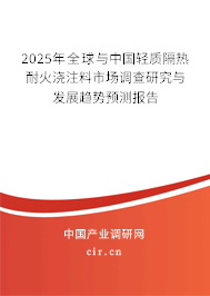 2025年全球與中國輕質隔熱耐火澆注料市場調查研究與發展趨勢預測報告