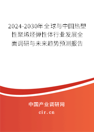 2024-2030年全球與中國熱塑性聚烯烴彈性體行業發展全面調研與未來趨勢預測報告