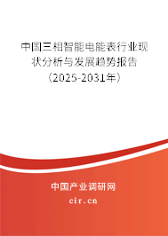 中國三相智能電能表行業現狀分析與發展趨勢報告（2025-2031年）