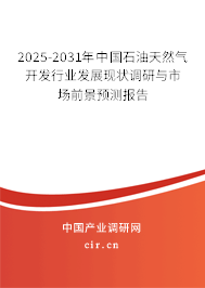 2025-2031年中國石油天然氣開發行業發展現狀調研與市場前景預測報告