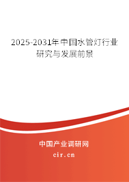 2025-2031年中國水管燈行業研究與發展前景