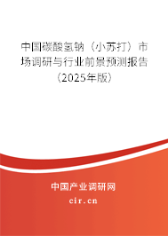 中國碳酸氫鈉（小蘇打）市場調研與行業前景預測報告（2025年版）