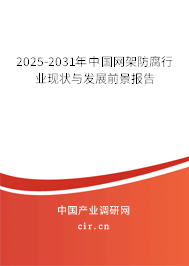 2025-2031年中國網架防腐行業現狀與發展前景報告