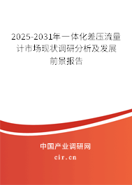 2025-2031年一體化差壓流量計市場現狀調研分析及發展前景報告