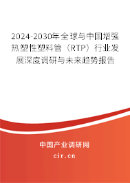 2024-2030年全球與中國增強熱塑性塑料管（RTP）行業發展深度調研與未來趨勢報告