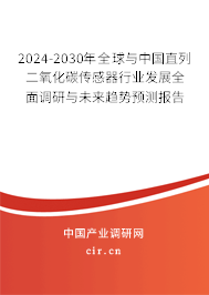 2024-2030年全球與中國直列二氧化碳傳感器行業發展全面調研與未來趨勢預測報告