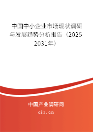 中國中小企業市場現狀調研與發展趨勢分析報告（2025-2031年）