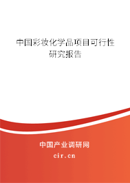 中國彩妝化學品項目可行性研究報告