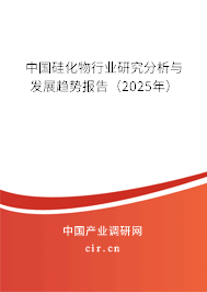 中國硅化物行業研究分析與發展趨勢報告（2025年）