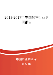 2013-2017年中國猴車行業調研報告