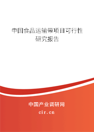 中國(guó)食品運(yùn)輸帶項(xiàng)目可行性研究報(bào)告