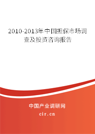 2010-2013年中國擔保市場調查及投資咨詢報告