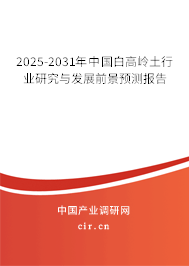 2025-2031年中國白高嶺土行業(yè)研究與發(fā)展前景預(yù)測報(bào)告