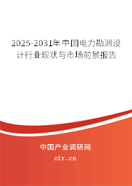 2025-2031年中國電力勘測設計行業現狀與市場前景報告