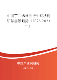 中國丁二烯橡膠行業(yè)現(xiàn)狀調(diào)研與前景趨勢(shì)（2025-2031年）