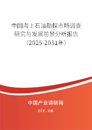 中國海上石油勘探市場調查研究與發展前景分析報告（2025-2031年）
