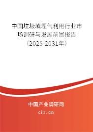 中國垃圾填埋氣利用行業市場調研與發展前景報告（2025-2031年）