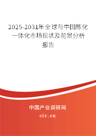 2025-2031年全球與中國煉化一體化市場現狀及前景分析報告