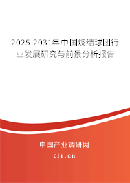 2025-2031年中國燒結球團行業發展研究與前景分析報告