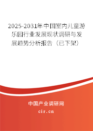 2025-2031年中國室內兒童游樂園行業發展現狀調研與發展趨勢分析報告（已下架）