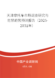 天津摩托車市場調查研究與前景趨勢預測報告（2025-2031年）