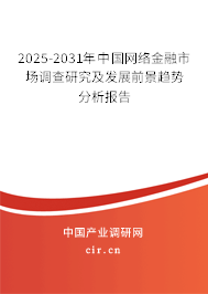2025-2031年中國網絡金融市場調查研究及發展前景趨勢分析報告