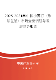 2025-2031年中國小蘇打（碳酸氫鈉）市場全面調研與發展趨勢報告