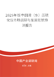 2025年版中國液（水）壓硫化儀市場調研與發展前景預測報告