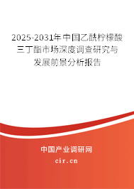 2024-2030年中國乙酰檸檬酸三丁酯市場深度調查研究與發展前景分析報告