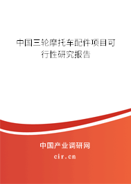 中國三輪摩托車配件項目可行性研究報告