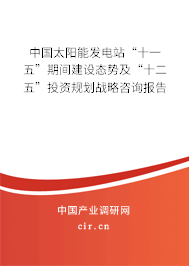 中國太陽能發電站“十一五”期間建設態勢及“十二五”投資規劃戰略咨詢報告