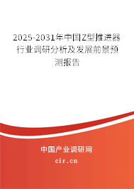 2025-2031年中國Z型推進器行業調研分析及發展前景預測報告