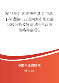 2023年2-丙烯酰氨基-2-甲基-1-丙磺酸行業國內外市場發展比較分析及投資風險與營銷策略評估報告