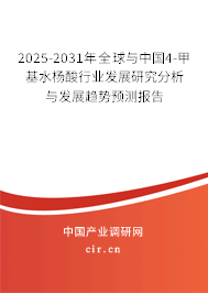 2025-2031年全球與中國4-甲基水楊酸行業發展研究分析與發展趨勢預測報告