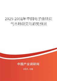 2025-2031年中國電子級硅烷氣市場研究與趨勢預測
