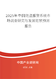 2025年中國防盜報警系統市場調查研究與發展前景預測報告