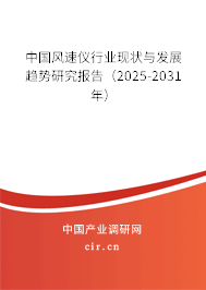 中國風(fēng)速儀行業(yè)現(xiàn)狀與發(fā)展趨勢研究報告（2025-2031年）