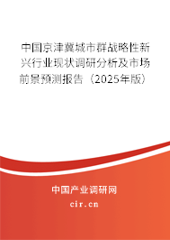 中國京津冀城市群戰(zhàn)略性新興行業(yè)現(xiàn)狀調(diào)研分析及市場前景預(yù)測報(bào)告（2025年版）