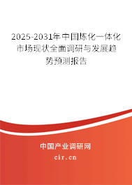 2025-2031年中國煉化一體化市場現狀全面調研與發展趨勢預測報告