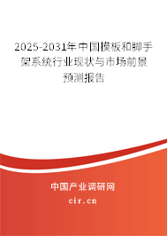 2025-2031年中國模板和腳手架系統行業現狀與市場前景預測報告