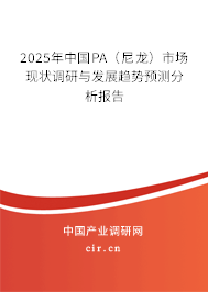 2025年中國PA（尼龍）市場現狀調研與發展趨勢預測分析報告