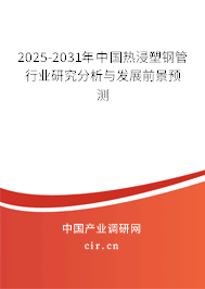 2025-2031年中國熱浸塑鋼管行業(yè)研究分析與發(fā)展前景預(yù)測