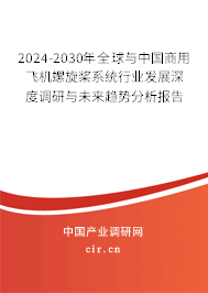 2024-2030年全球與中國商用飛機螺旋槳系統行業發展深度調研與未來趨勢分析報告