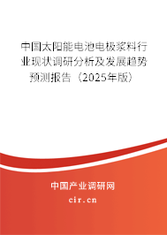 中國太陽能電池電極漿料行業現狀調研分析及發展趨勢預測報告（2024年版）