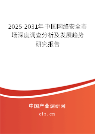 2025-2031年中國網絡安全市場深度調查分析及發展趨勢研究報告