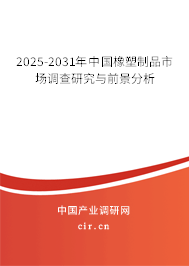 2025-2031年中國橡塑制品市場調(diào)查研究與前景分析